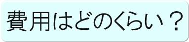 費用はどれくらい?